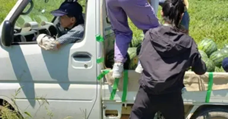 outdoor work1