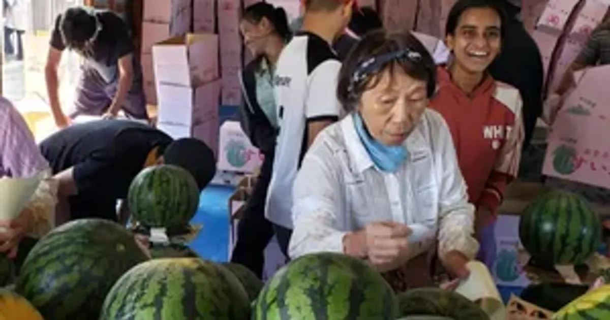 Morita Farm Watermelon Work (2026)